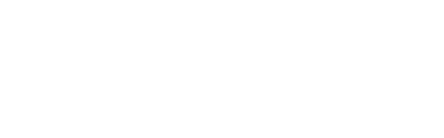 Community Options, Inc. Supporting people with disabilities since 1989 Logo